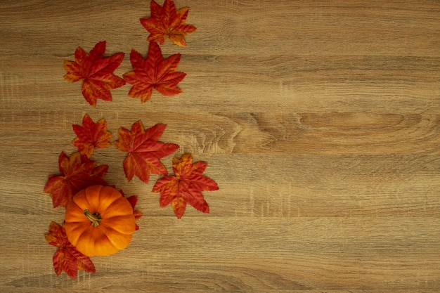 Autumn Harvested pumpkin on wooden