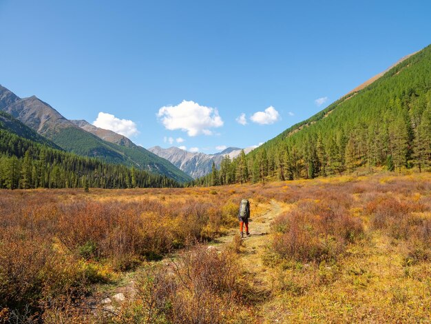 Foto escursione autunnale escursionismo in solitaria nelle pittoresche montagne autunnali salita pesante in montagna con uno zaino stile di vita di viaggio escursionismo concetto di avventura su pista dura in vacanza autunnale