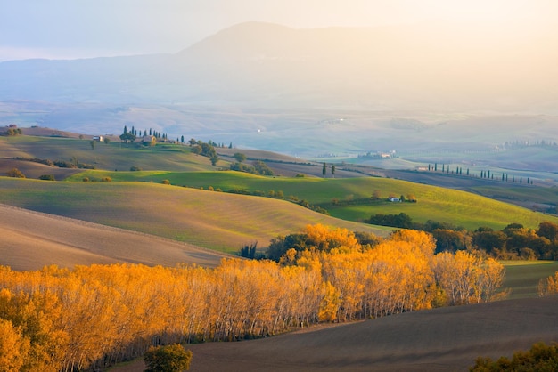 Осенние холмы сельское хозяйство пейзаж во время сбора урожая Красивая природа Тосканы Тоскана Италия Европа