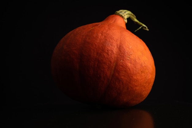 Autumn Hokkaido Pumpkin or Red Kuri on a black background. Fresh vegetable food concept photo