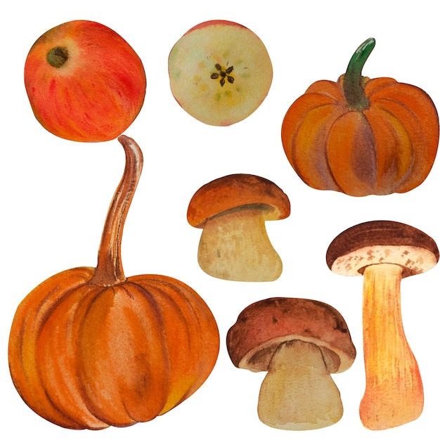 Autumn illustration watercolor set red apple mushrooms bright juicy pumpkins Hand drawn isolated