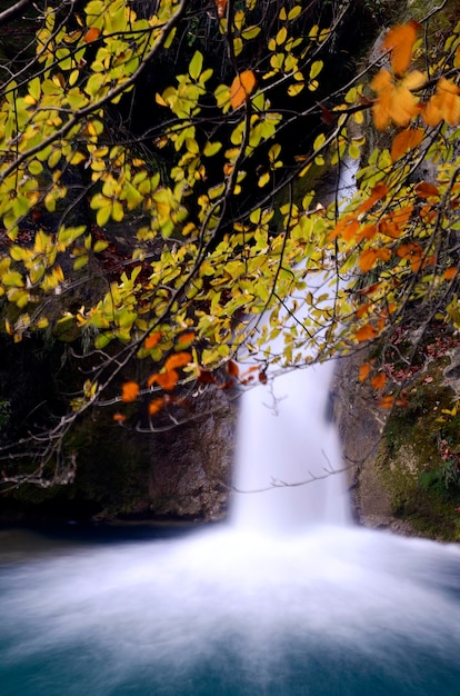 Autumn image of a waterfall in the Urederra River Natural Reserve. Navarre. Spain