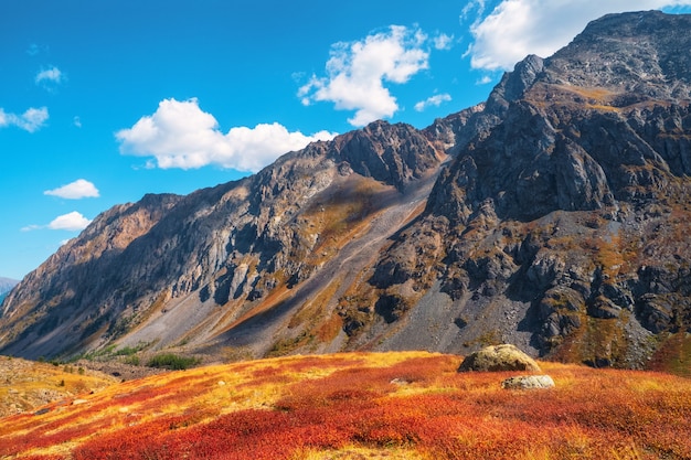 写真 山の秋。日差しの中でロッキー山脈の麓にあるオレンジ色の秋の丘のある素晴らしい高山の風景。黄金色の灰色の岩とモトリー山の風景。