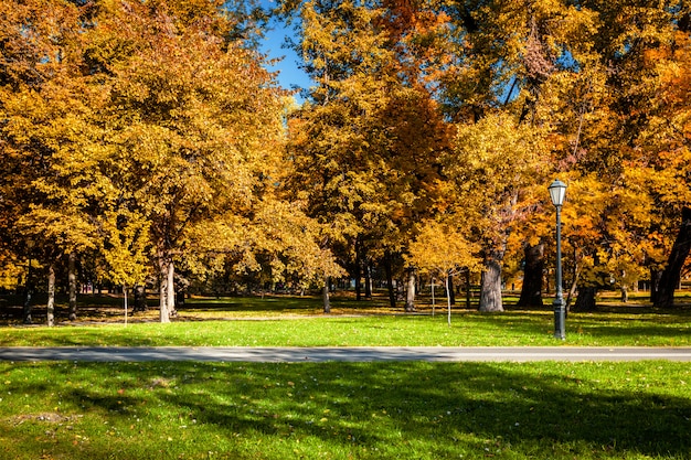 写真 公園の秋