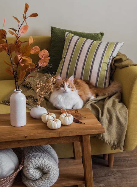 Autumn interior of the living room a red cat on the sofa with pillows and blankets a wooden bench with autumn decor Cozy house