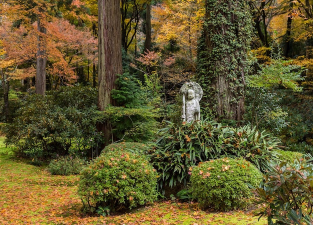 Autumn Japanese garden