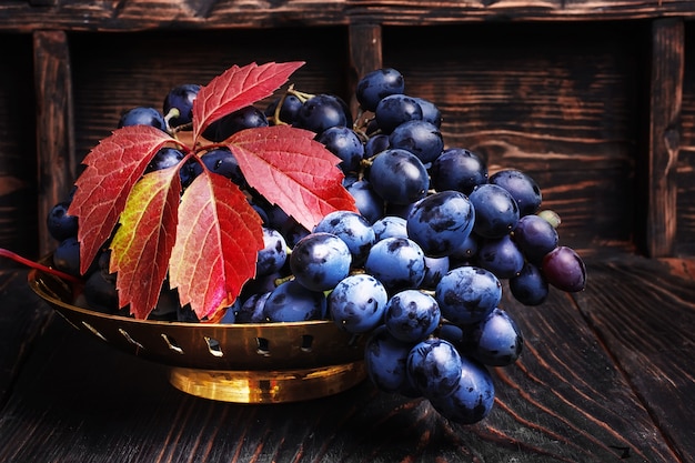 Autumn juicy grapes