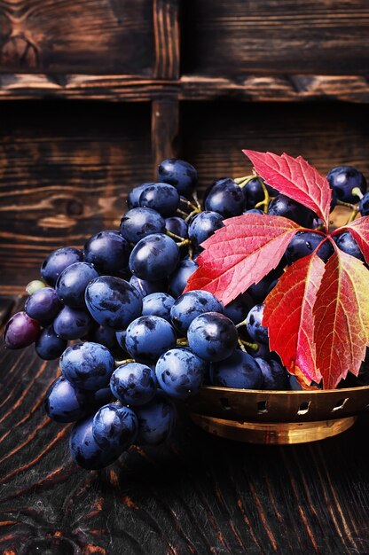 Autumn juicy grapes