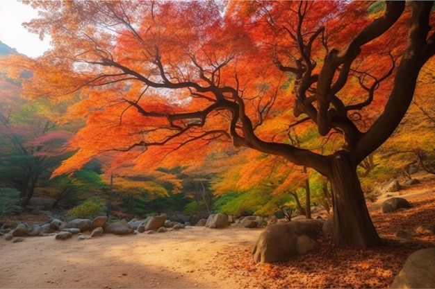 Autumn in korea and maple tree in the park naejangsan national park in autumn seasonsouth korea