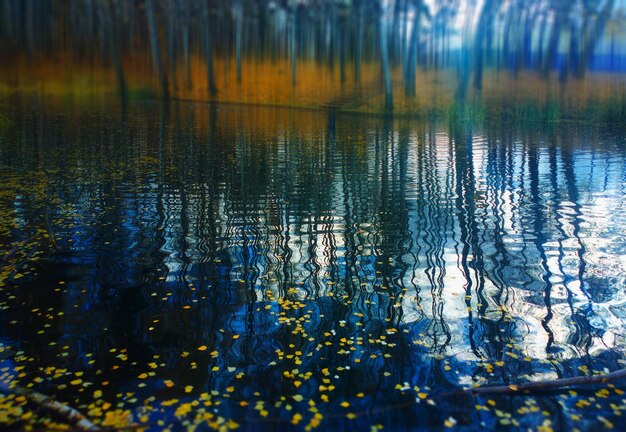 写真 秋の湖のボケ味の風景の背景