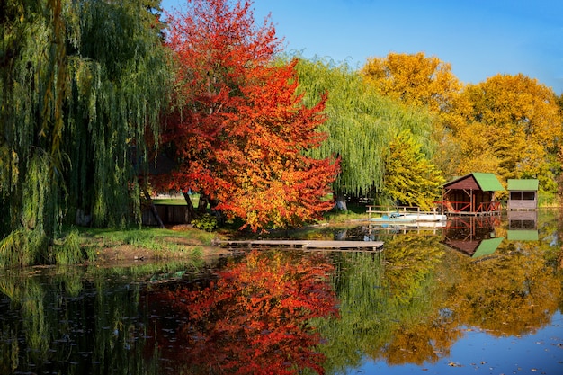 맑은 날의 가을 호숫가