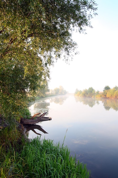 Autumn lake