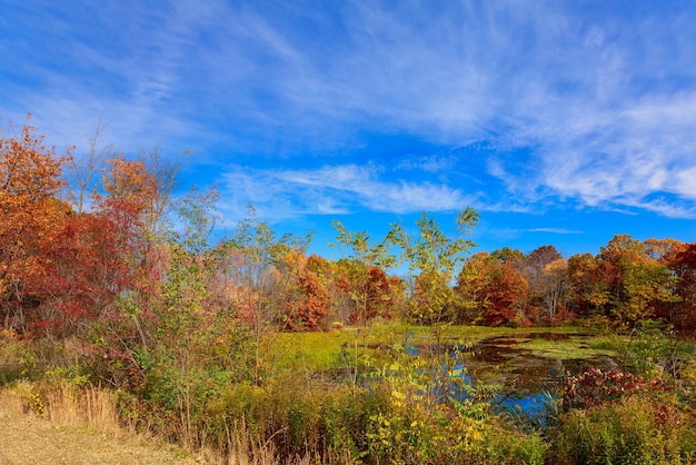 秋の風景色とりどりの森のある秋の風景色とりどりの秋の風景赤と黄色の美しい森のある湖の上の秋の色とりどりの葉水に映る秋の森