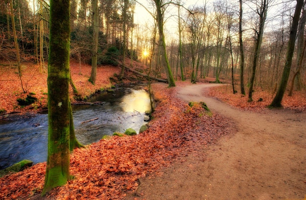 Autumn landscape Autumn landscape