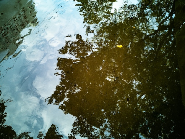 雨黄色の落ち葉が水に横たわった後、秋の風景秋の木が水たまりに反映されます