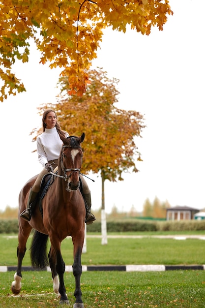 가을 풍경 숲에서 붉은 말과 함께 포즈를 취하는 긴 머리를 가진 아름다운 갈색 머리 소녀