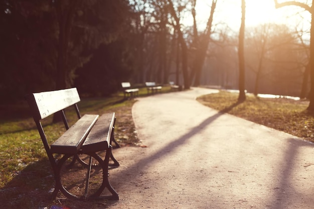 Autumn landscape benches along the road