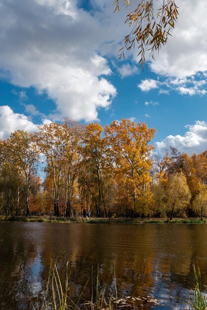 Autumn landscape by the lake