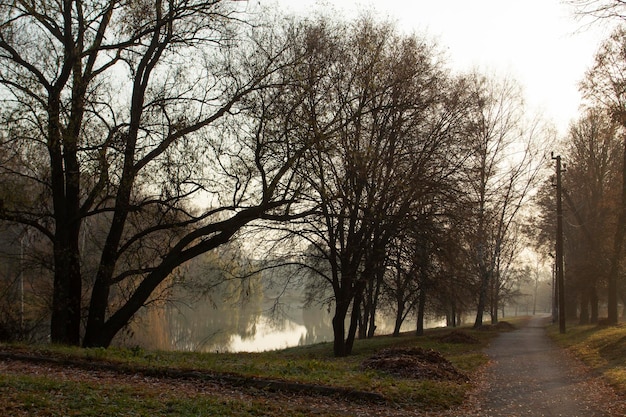 Осенний пейзаж в городском парке, осень в Молдове.