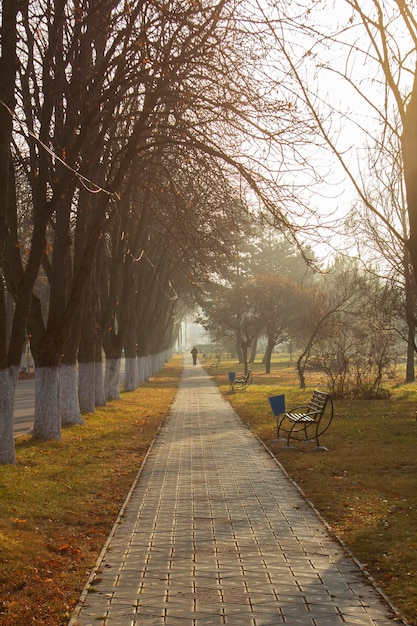 Autumn landscape in a city park, autumn in Moldova.