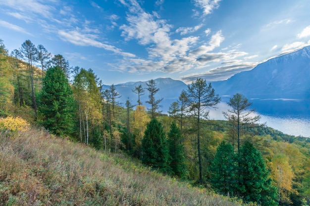 Foto paesaggio autunnale sulla costa del lago teletskoye monti altai