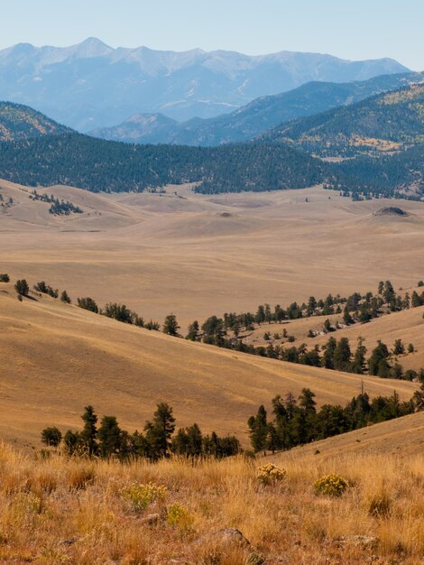 Photo autumn landscape in colorado.