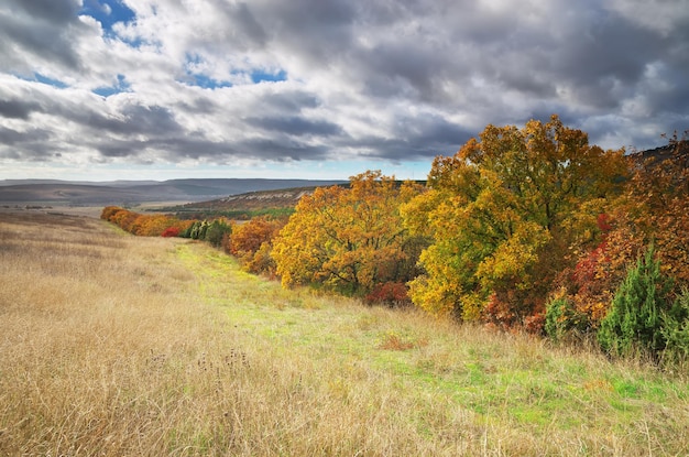 Autumn landscape Composition of nature