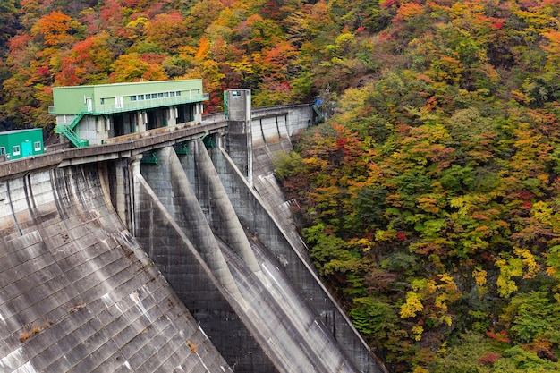 Autumn landscape and dam