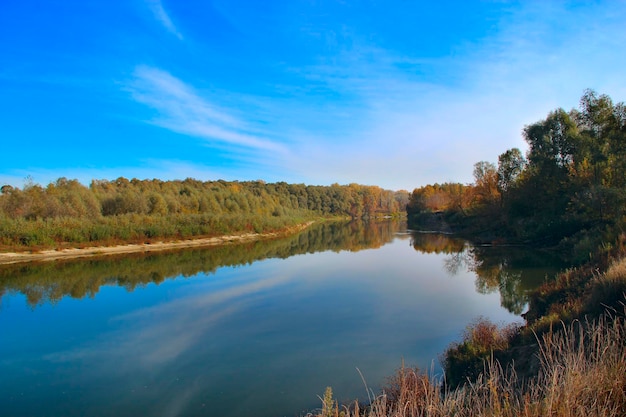 Autumn landscape Dry leaves fall on water surface of river