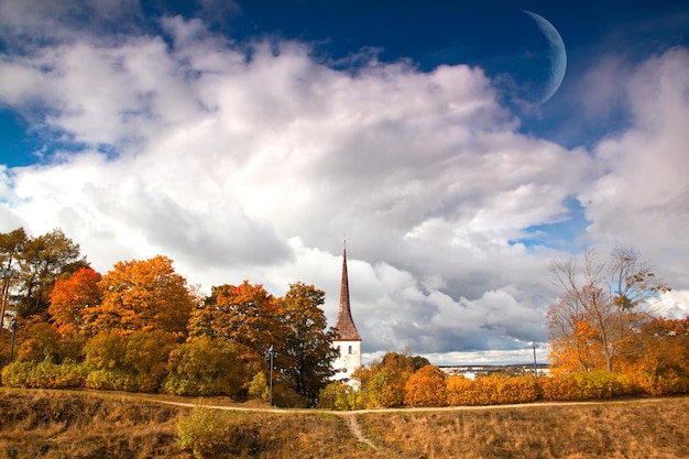 エストニアの森の秋の風景