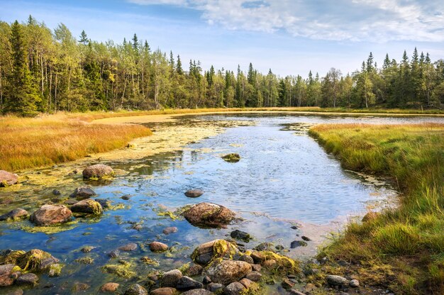 Autumn landscape of Filippovskiye Sadkov on the Solovetsky Islands with a blue bay and stones