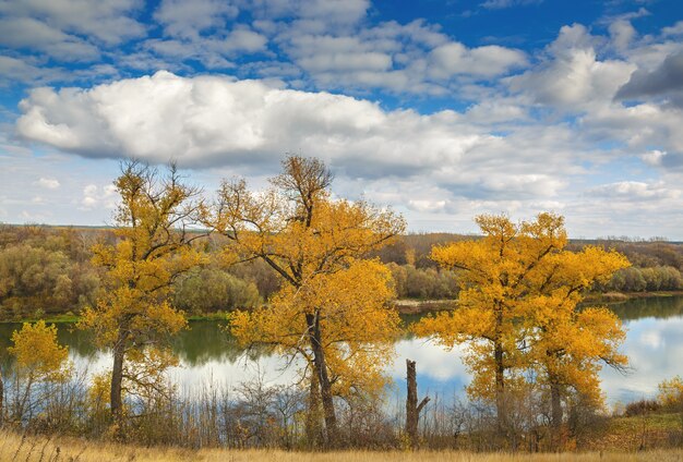 ドン川の丘の上の秋の風景。曇り空の池の眺め..