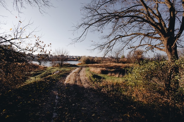 Фото Осенний пейзаж ранним солнечным утром.