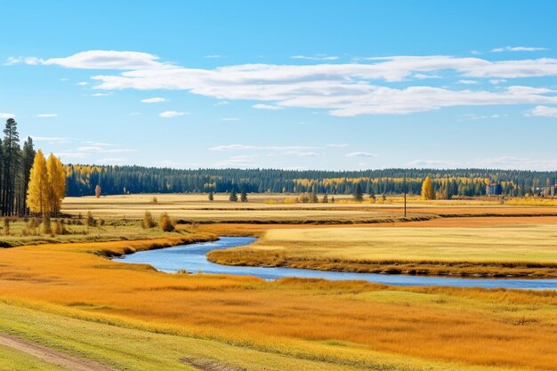 Foto autumn landscape in karelia with a field