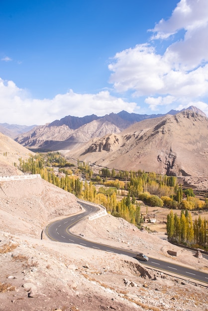 Paesaggio autunnale nella regione di ladakh, india. valle con alberi e montagne sullo sfondo in autunno.