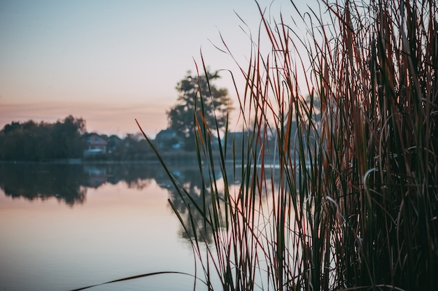 Autumn landscape on the lake. The rural sky of nature river clouds landscape and dry yellow reeds. Riverbank nature. Rural river landscape.