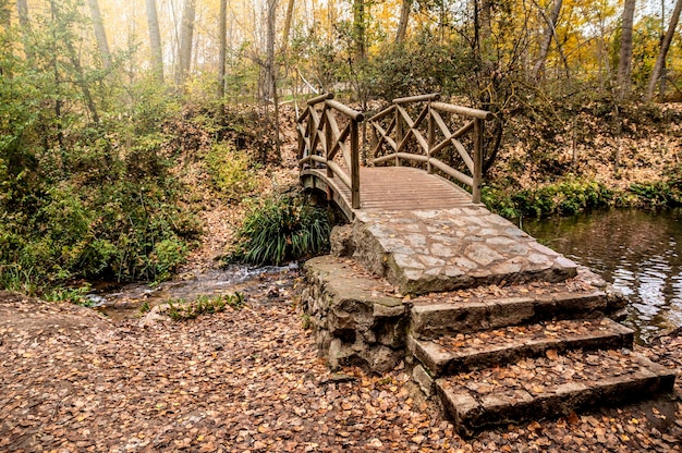 Autumn landscape of living nature