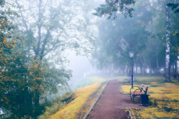 autumn landscape morning in the fog / alley in the city park, misty landscape in the city, trees in the city