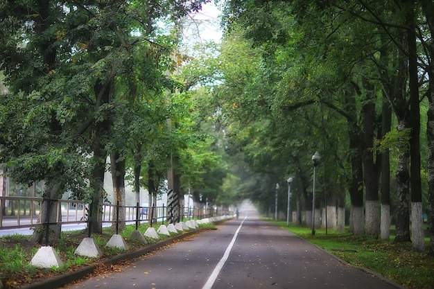 霧の中の秋の風景/都市公園の路地、街の霧の風景、街の木々