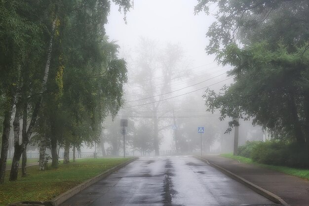 Paesaggio autunnale mattina nella nebbia / vicolo nel parco cittadino, paesaggio nebbioso in città, alberi in città