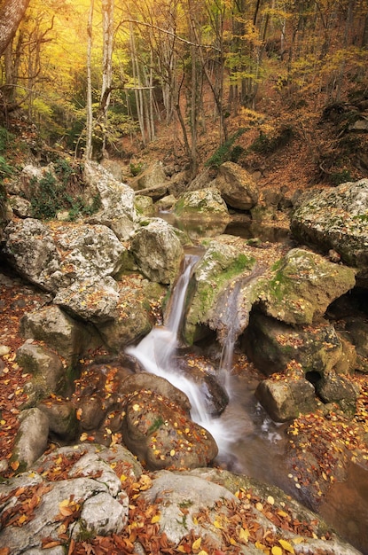 Autumn landscape nature