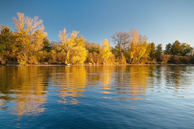 Photo autumn landscape nature