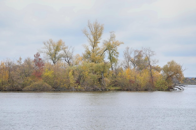 autumn landscape out of city