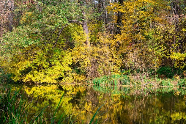 Autumn Landscape Park in Autumn The bright colors of autumn in the park by the lake Selective focus