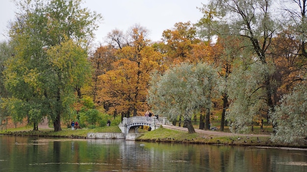 公園の木々の池の小道と古い橋の秋の風景ガッチナ宮殿パークシティオブガット