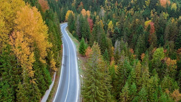 Autumn landscape, paved road in the mountain forest. Yellow and red cast trees and green conifers create a picturesque contrast.