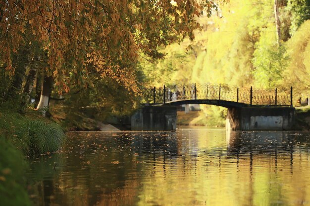 autumn landscape pond in city central park, beautiful autumn landscape view fall nature