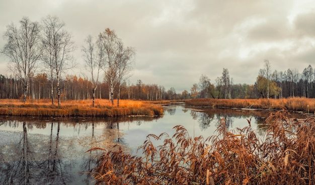 Autumn landscape on a rainy day with an old pond, trees and reflections. Russia.