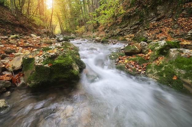 Autumn landscape River into canyon