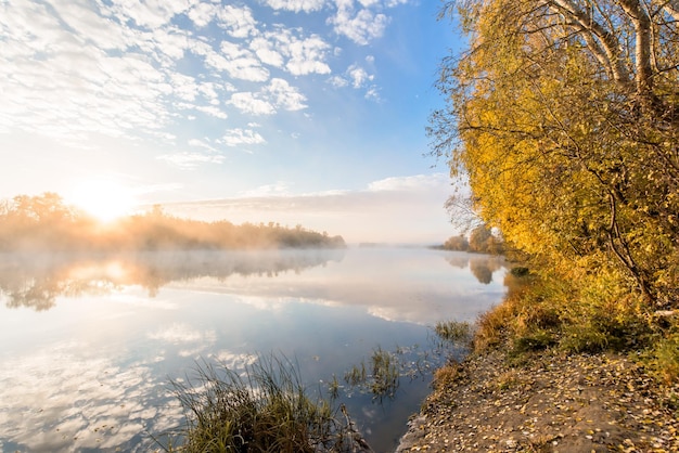 朝の秋の風景川は秋の川の水のパノラマの上の霧黄色